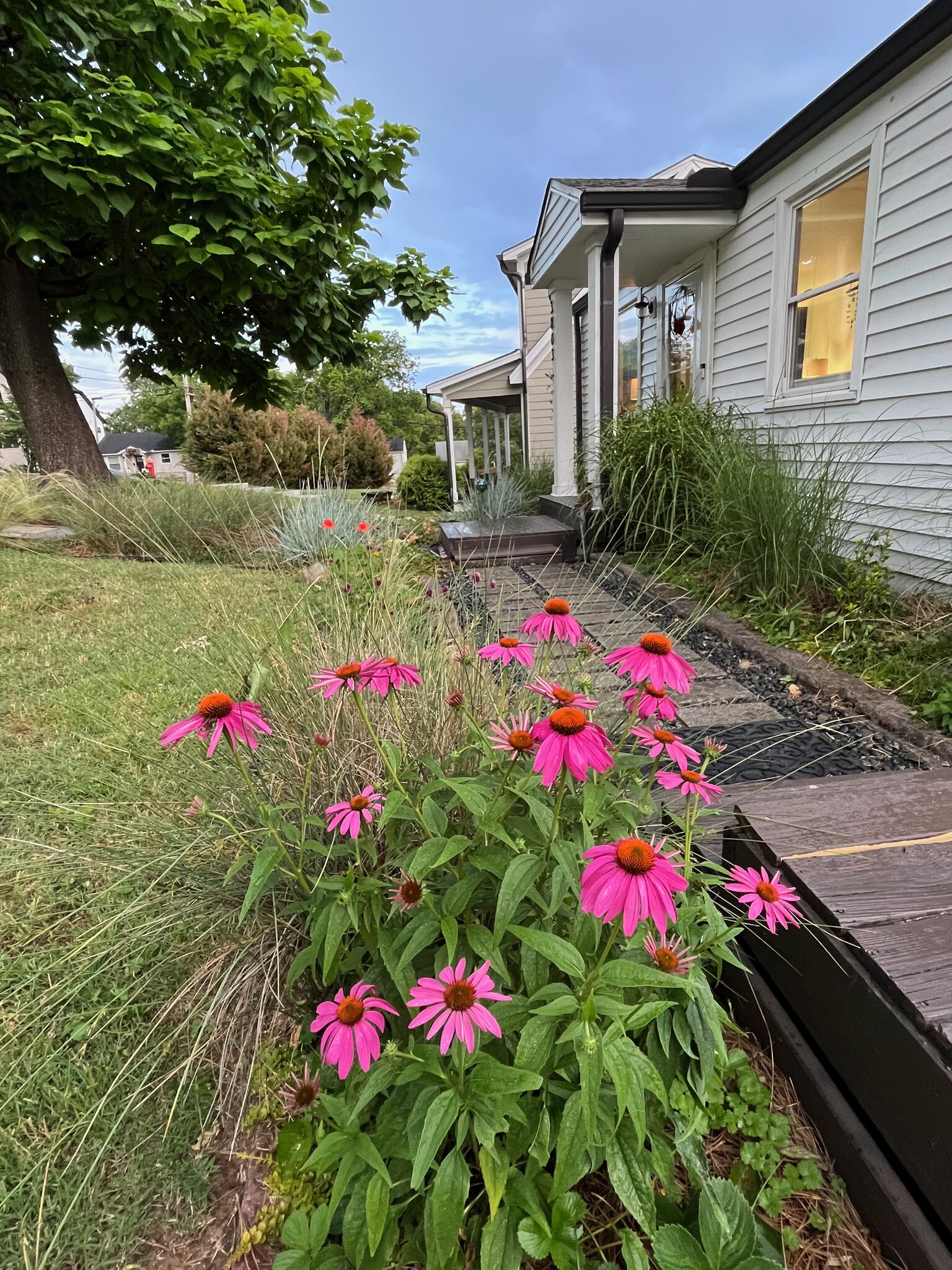 Building Photo - 3803 Lookout Dr