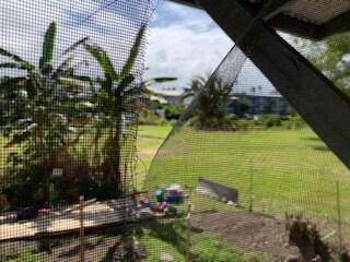 Building Photo - 265 Kekuanaoa St