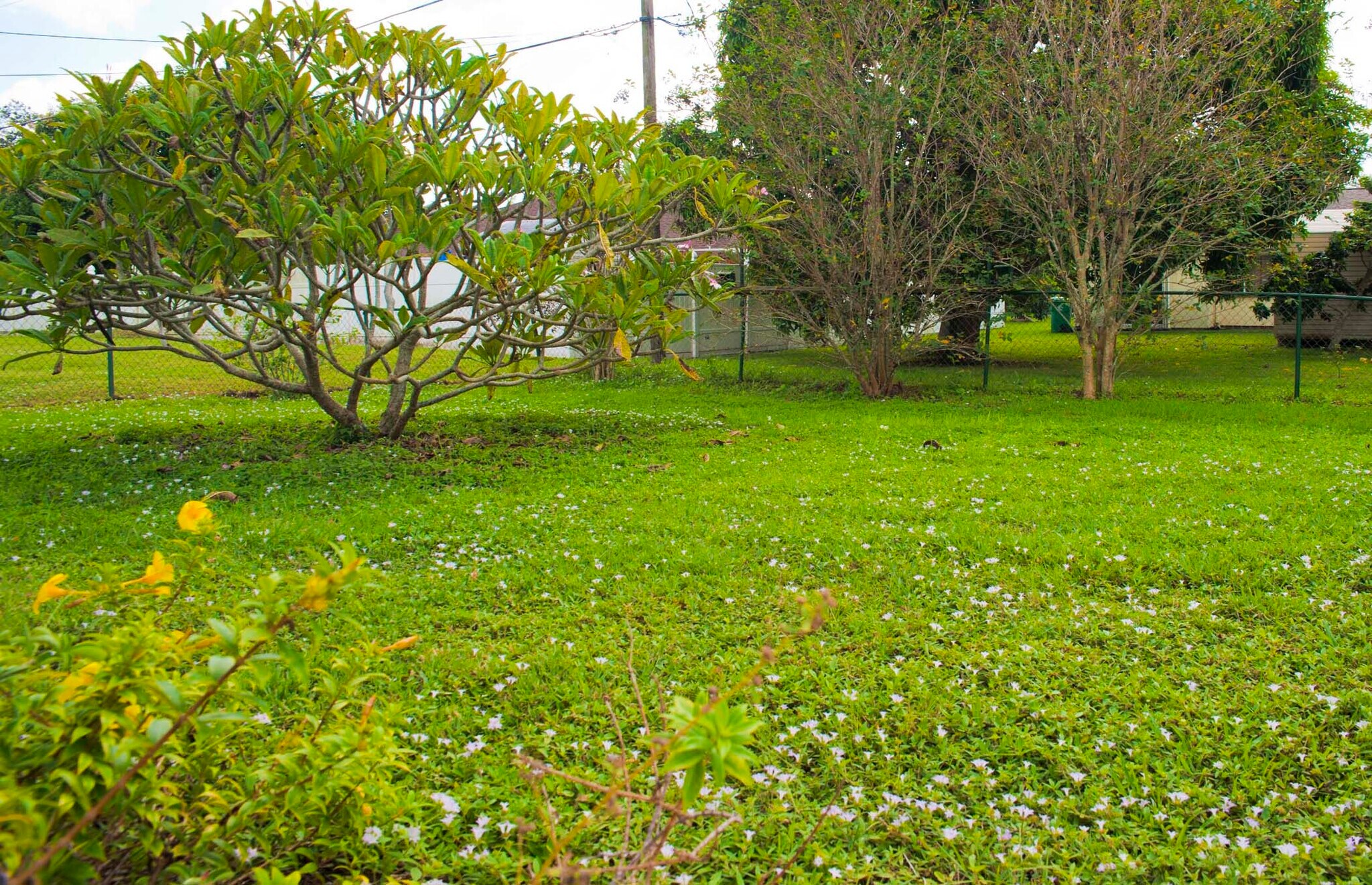 Spacious Fenced Backyard - 458 SE Doat St
