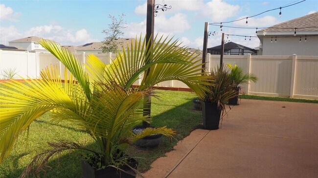 Building Photo - 216 Denali St