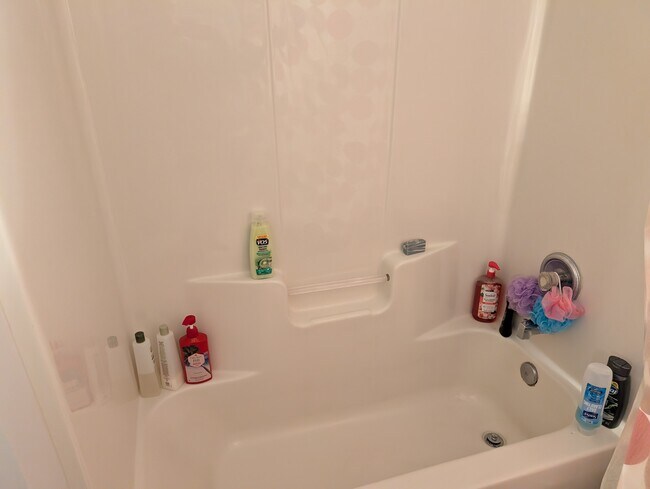 One-piece shower-tub - 2443 Chateau Ln