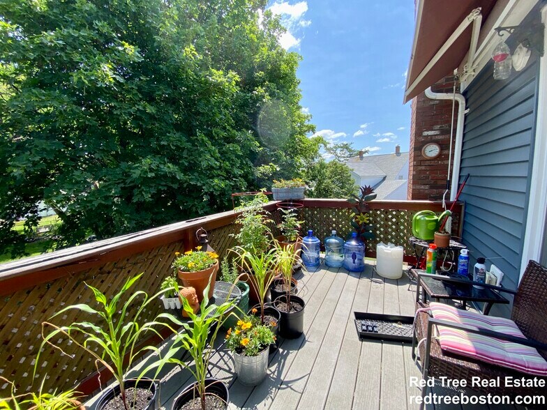 Building Photo - 56 Jackson St