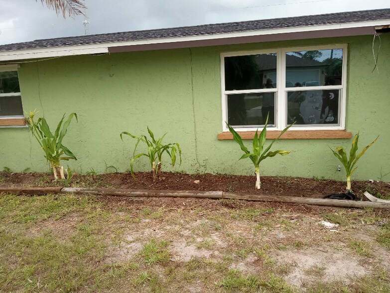 Building Photo - 8271 Pelican Rd