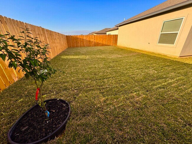 Building Photo - 1012 amezquita Dr