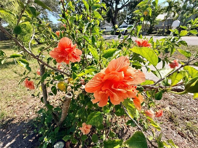 Building Photo - 3295 Adrian Ave