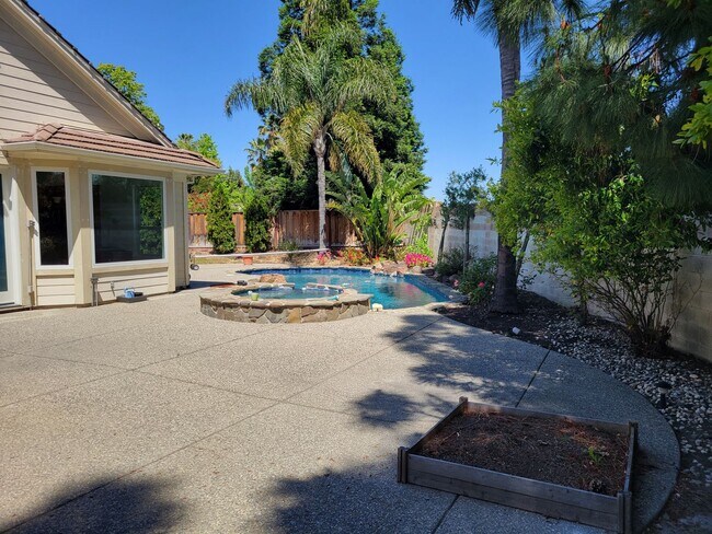 Building Photo - Large Modern Home with Pool