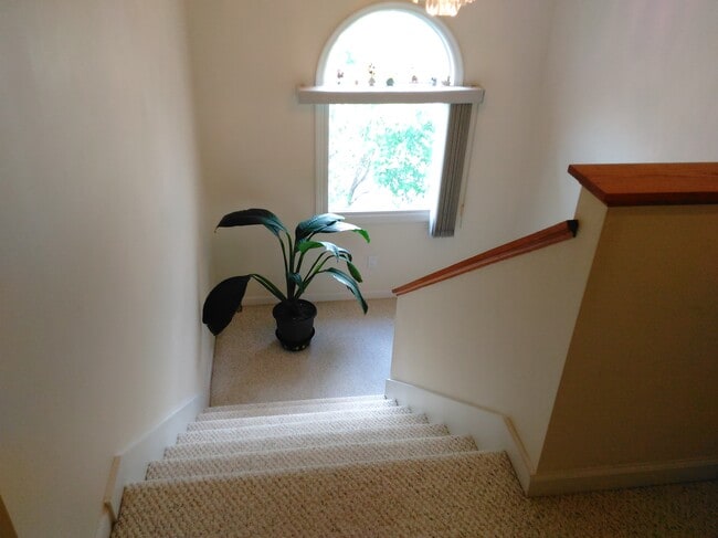 Building Photo - 145 Windwood Dr