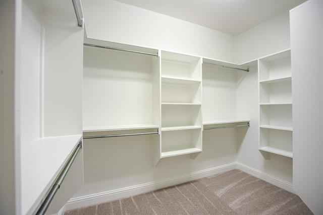 Building Photo - 3308 Damsel Sauvage Ln