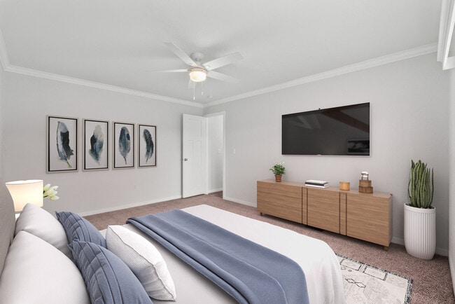 Building Photo - 5111 Caicos Calle