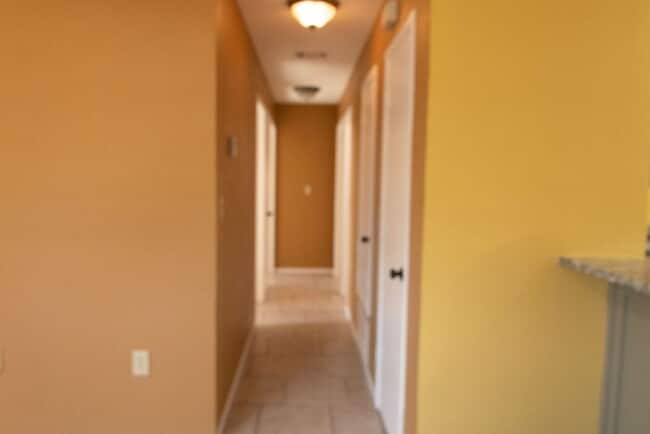 Building Photo - Newly Remodeled 3/2/1 on Wooded Lot