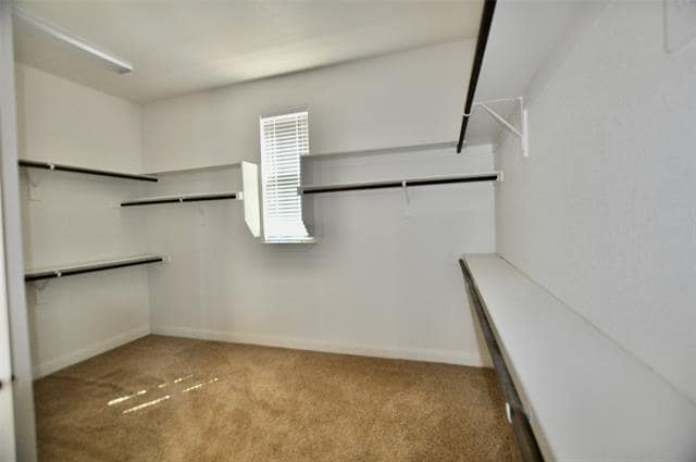Building Photo - 2529 Elk Hollow Ln
