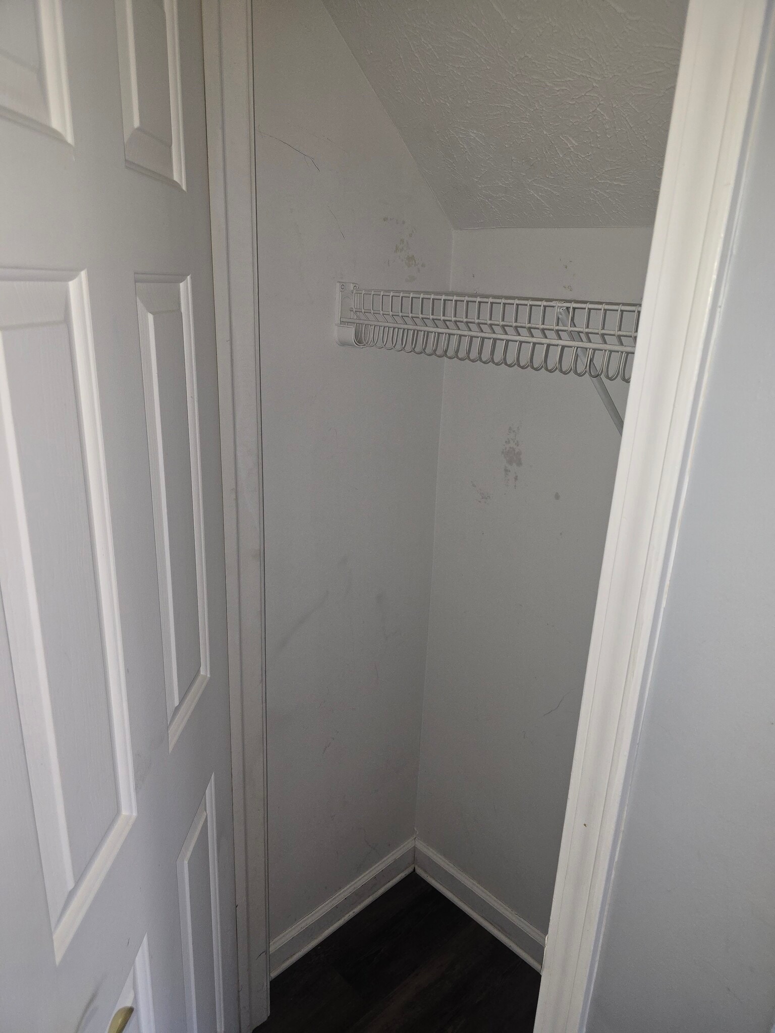 Building Photo - 1907 E Balsam Ct