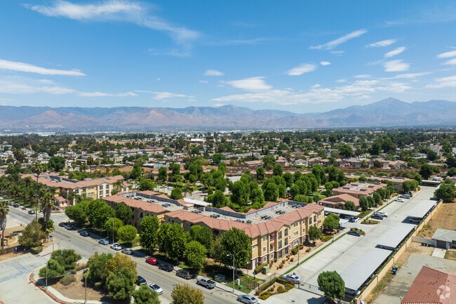 Building Photo - Loma Linda Commons