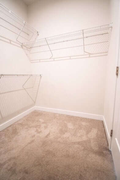 Building Photo - 914 Avast Way