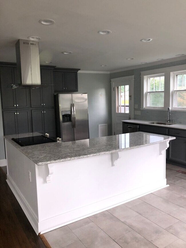 Building Photo - Newly Remodeled 3/2 with open floor plan