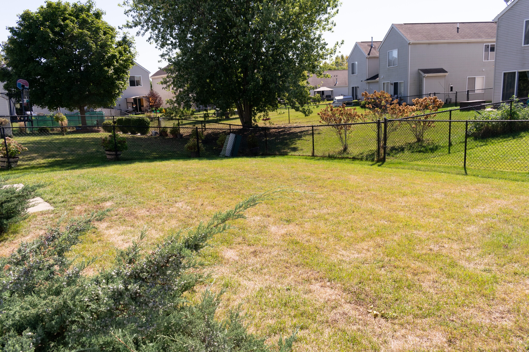 Backyard Looking From Backdoor - 61 W Providence Ln