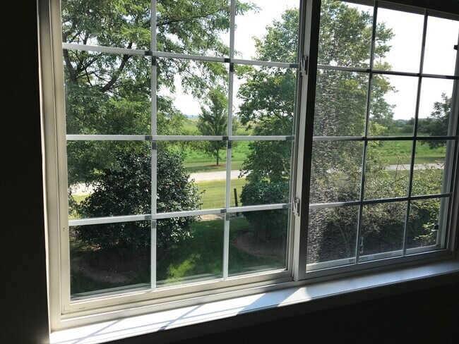 Building Photo - 538 Mallard Ln