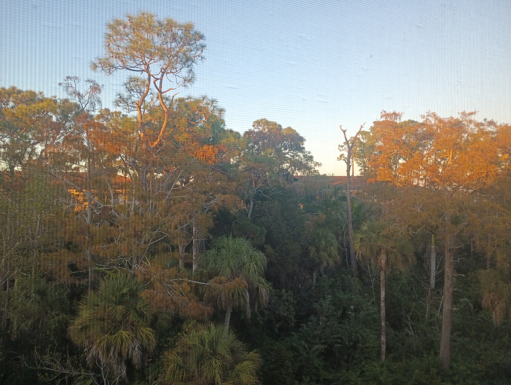 View from Patio - 4510 Botanical Place Cir