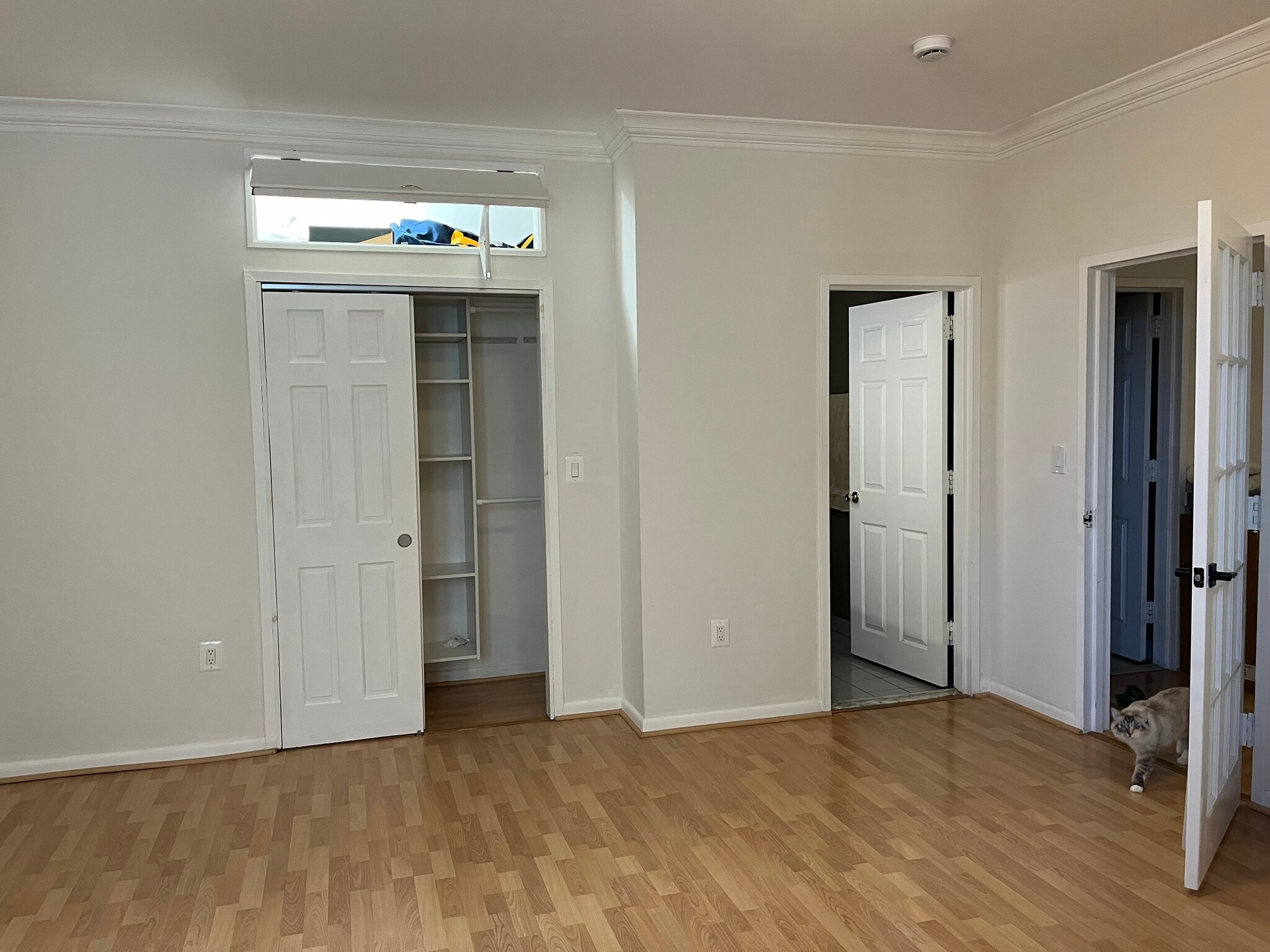 Bedroom 1 - 75 Liberty Ave