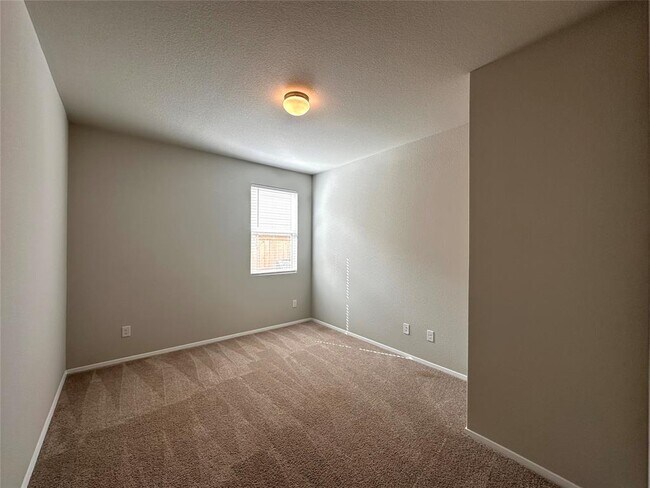 Building Photo - 11513 Domenico Cv