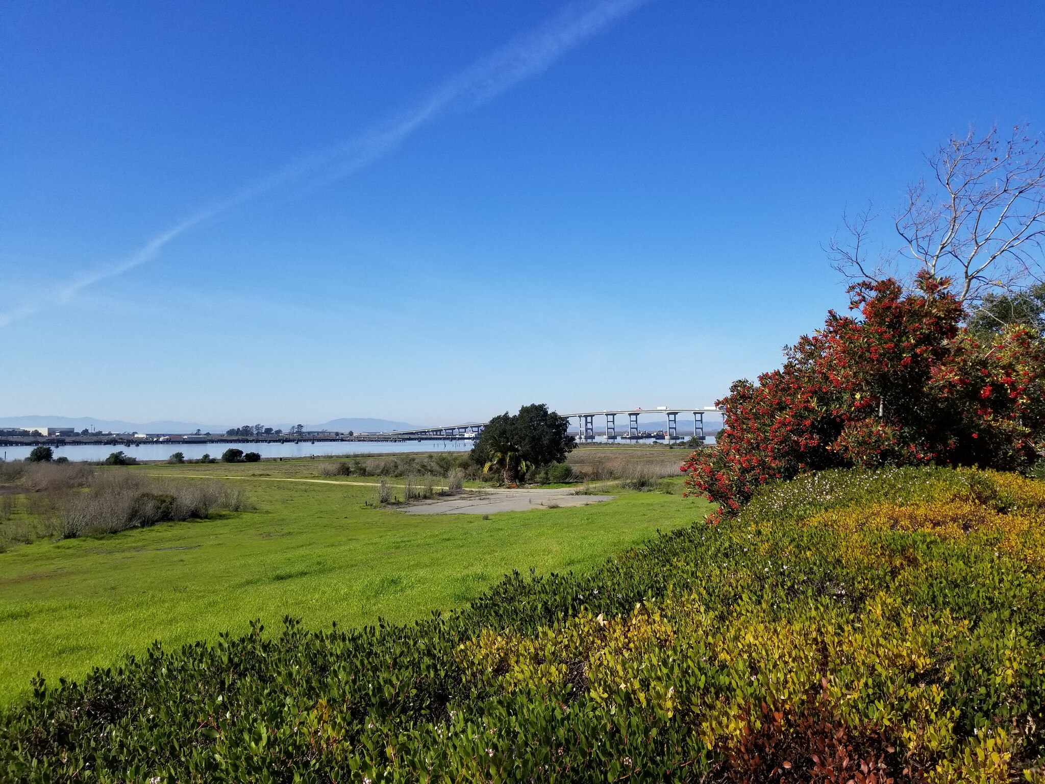 River Park - 44 Daniels Ave