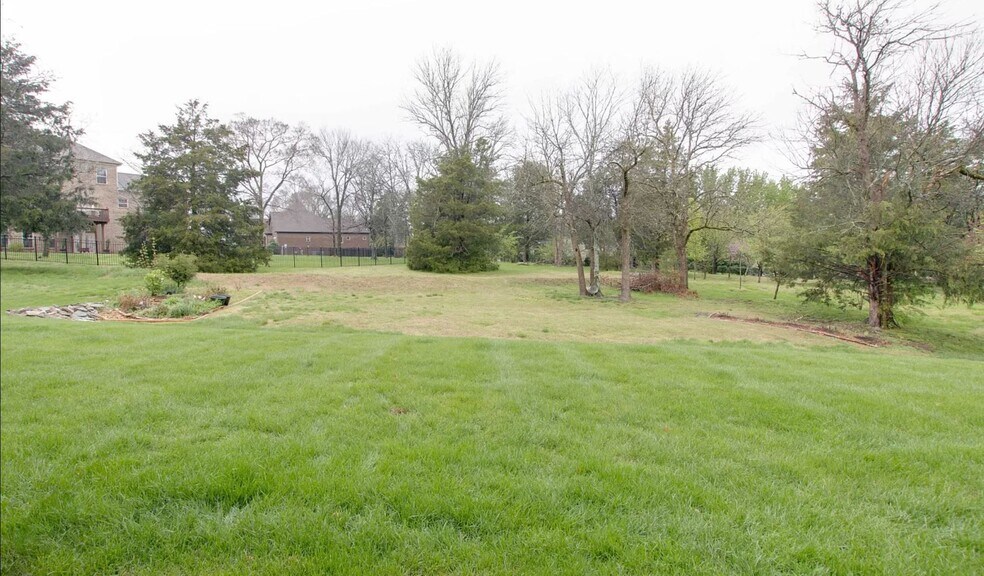 Back Yard View - 1005 Brittain Downs Dr