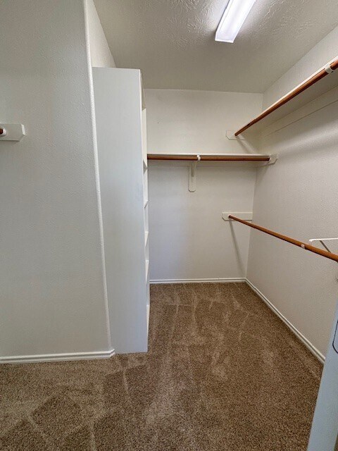 Building Photo - 6159 Morningshire Ln