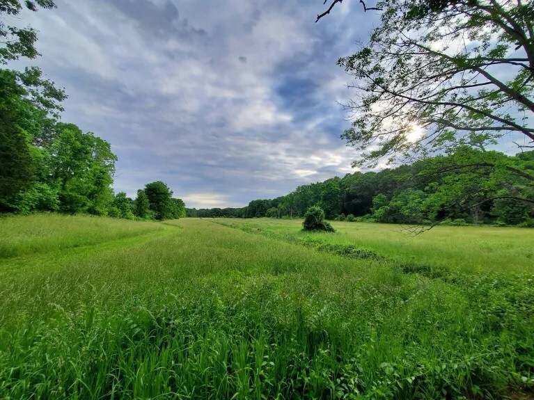 Building Photo - 101 Boston Rd