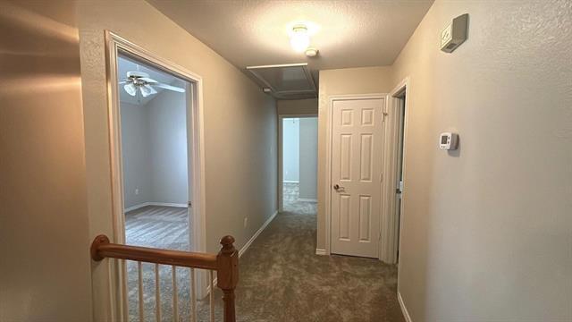 Building Photo - 6111 Sea Island Trail