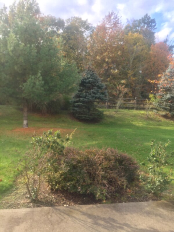 Building Photo - 77 Woodside Knolls Dr