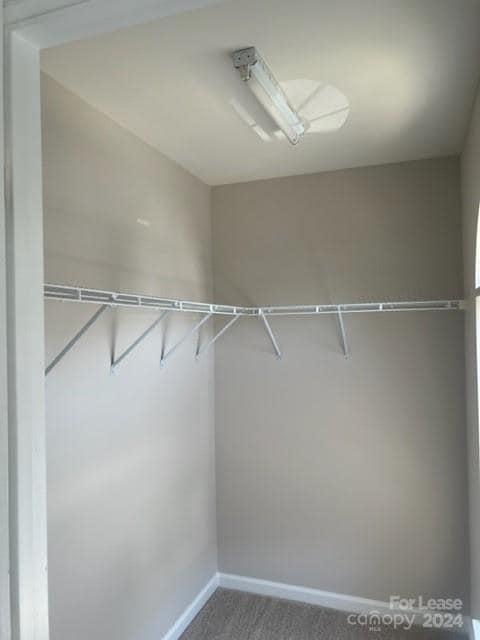 Building Photo - 113 Kase Ct