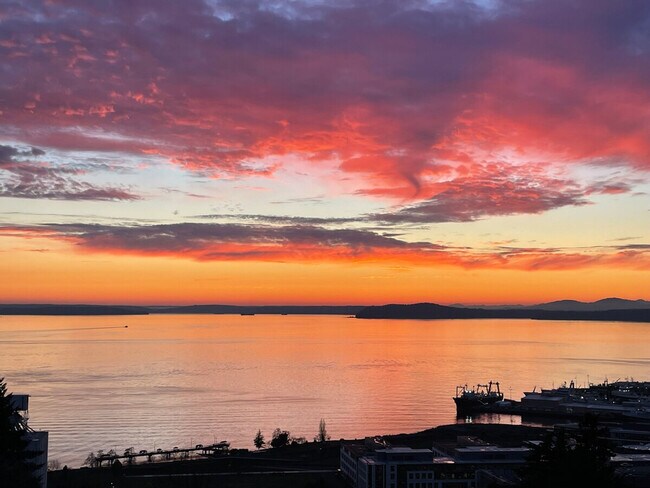 Building Photo - 1706 Warren Ave N