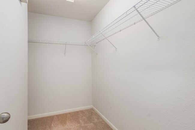 Building Photo - 1616 Grable Cove Ln