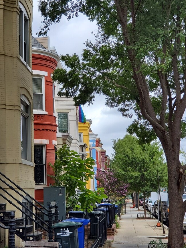 Building Photo - 40 Adams St NW
