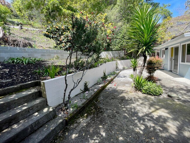 Rear hillside - 5940 La Salle Ave