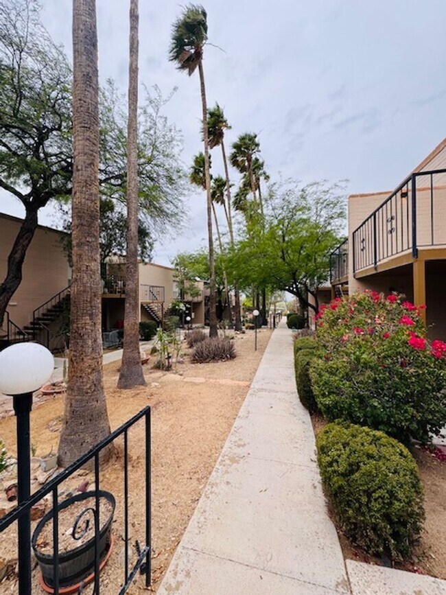 Building Photo - Sunnyslope Apartments