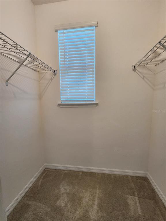 Building Photo - 10360 Austrina Oak Lp