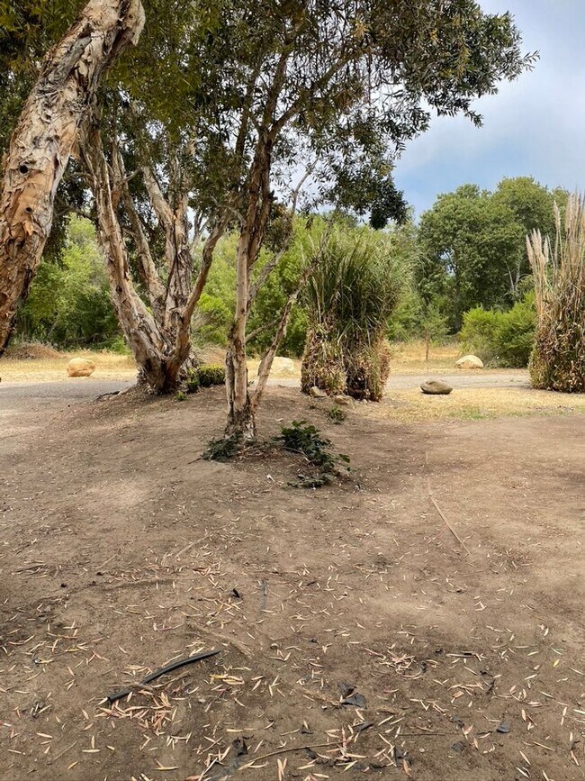 Building Photo - 850 Camino Lindo