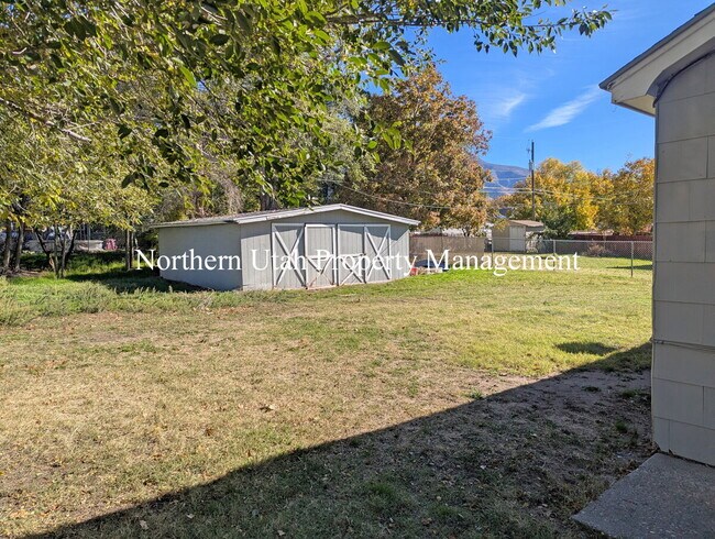 Building Photo - Lower Unit 2 Bed, 1 Bath