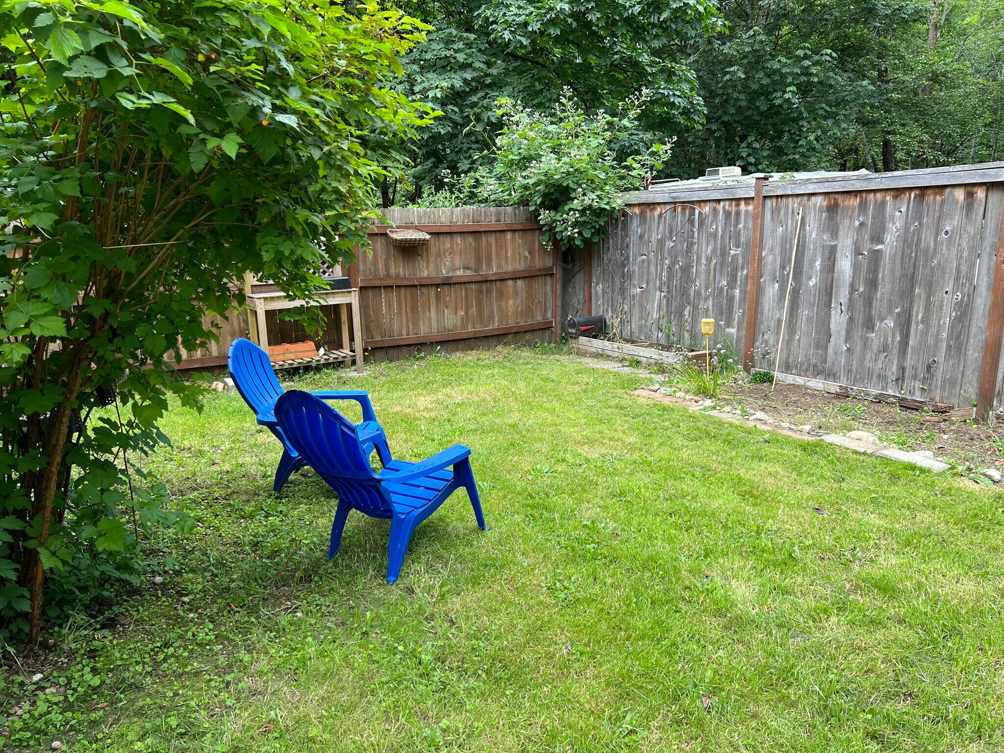 Back yard - 1618 Groves Ave NW