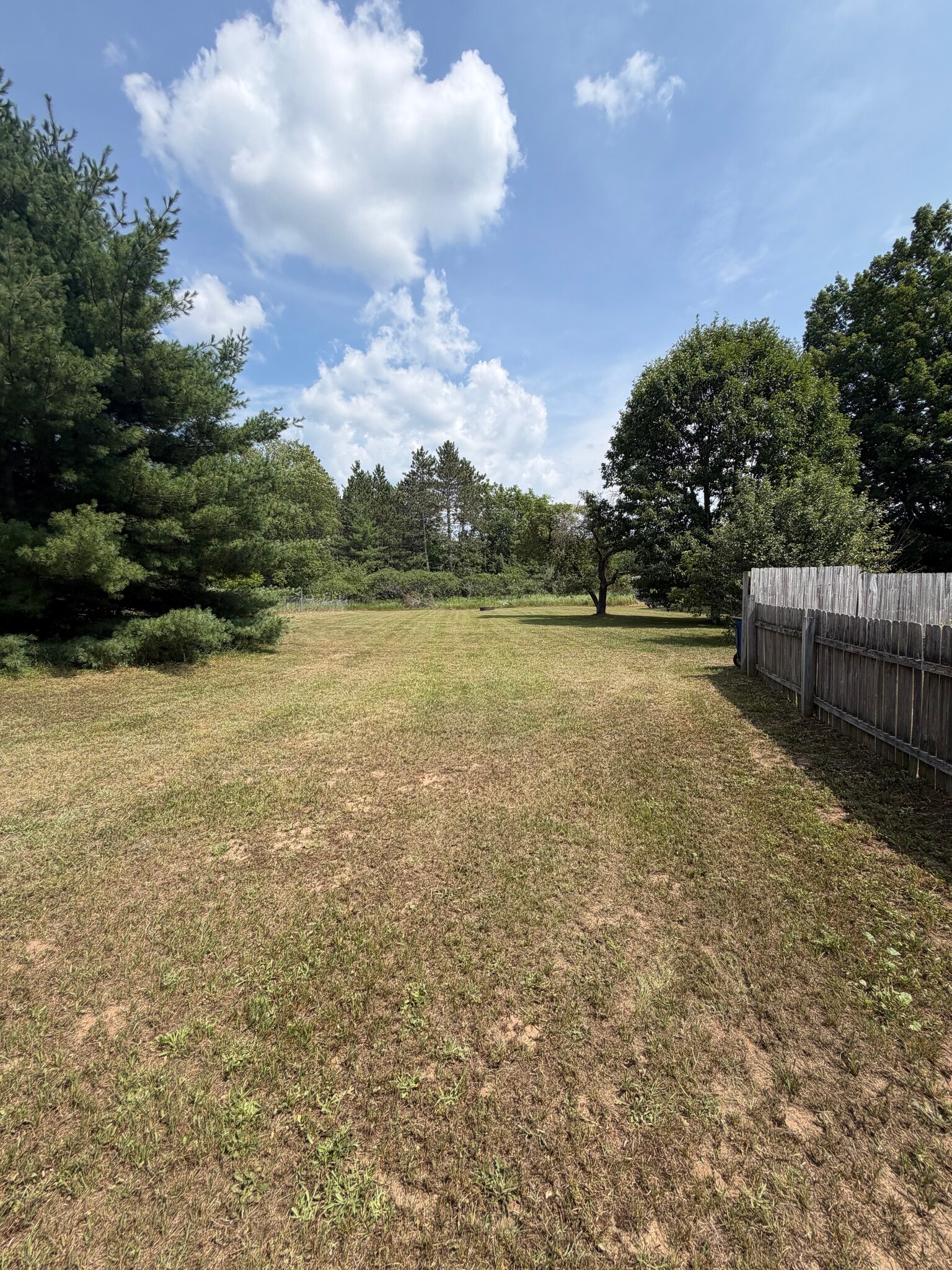 Building Photo - 253 Bendon Rd