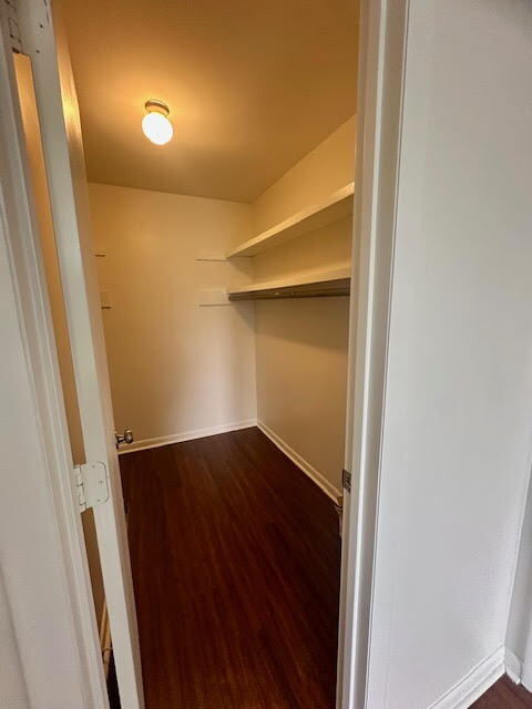 Building Photo - Live Near Vanderbilt & Belmont! Updated Condo with Pool Access