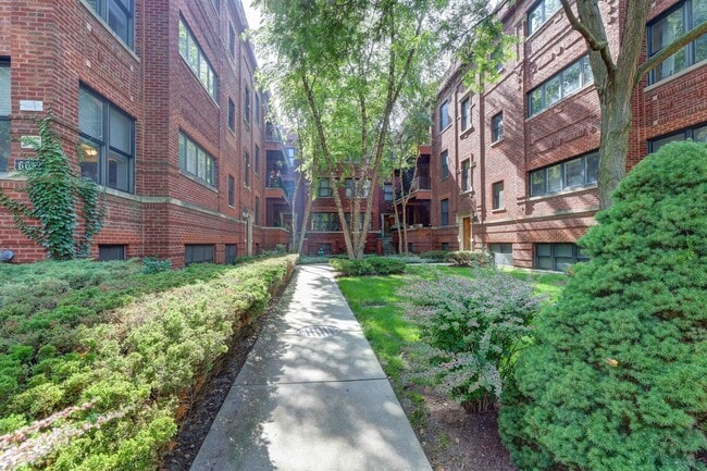 Primary Photo - 6620 N Ashland Ave