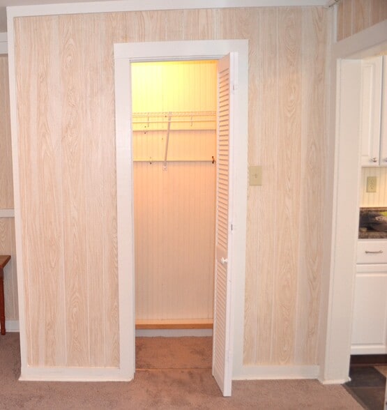closet is lighted, and it has a hanging rod w/ shelf, and deep shelves on right end wall - 222 W Case St