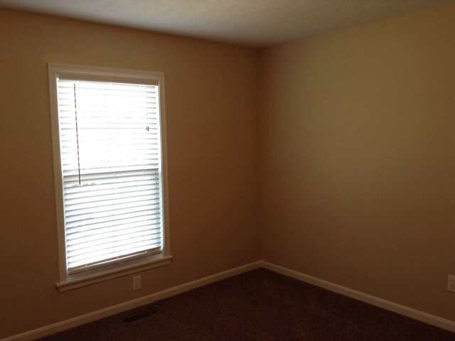 Building Photo - 2305 Treetop Ln