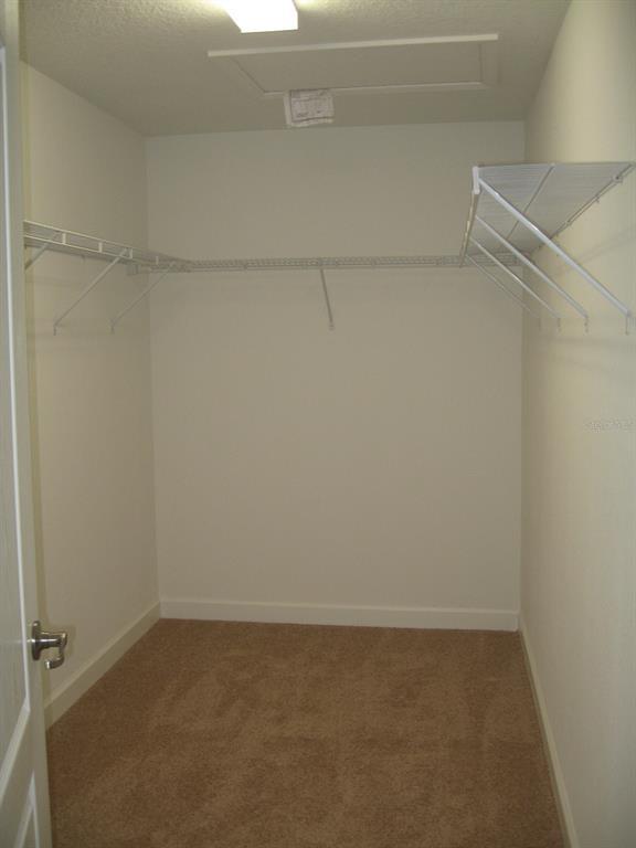Building Photo - 3566 Rodrick Cir