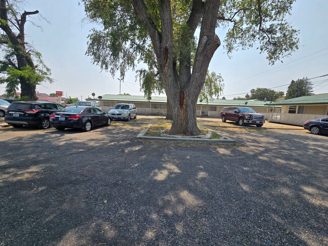Building Photo - Fully Remolded 2 Bedroom Apartment Move-in...