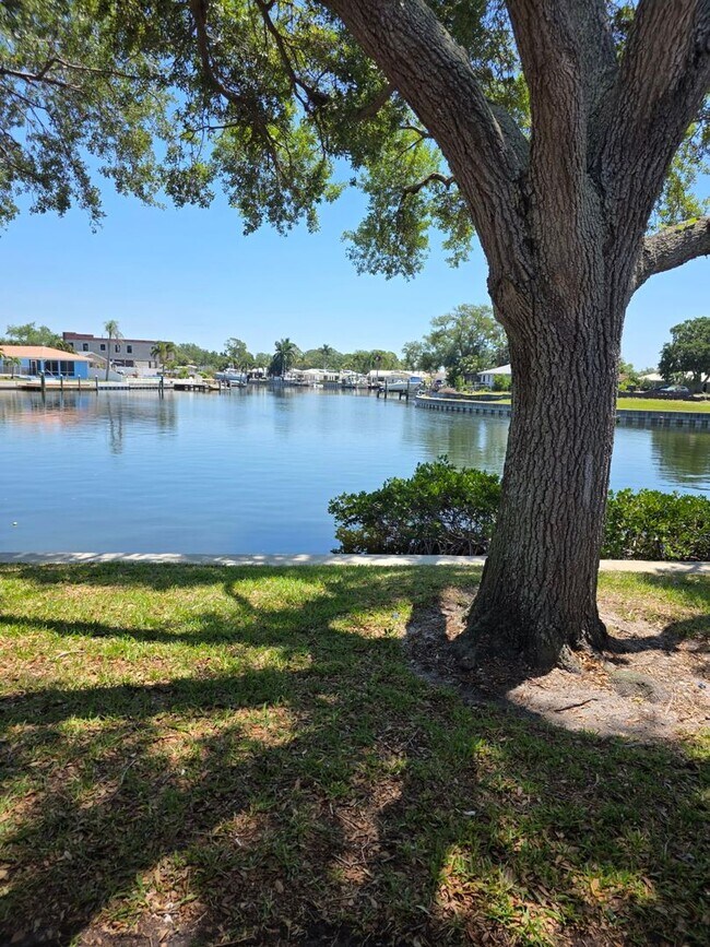 Building Photo - Waterfront Living Near Downtown St. Pete | Boat Access + Designer Finishes
