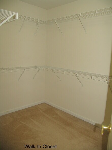 Building Photo - 2812 River Willow Dr