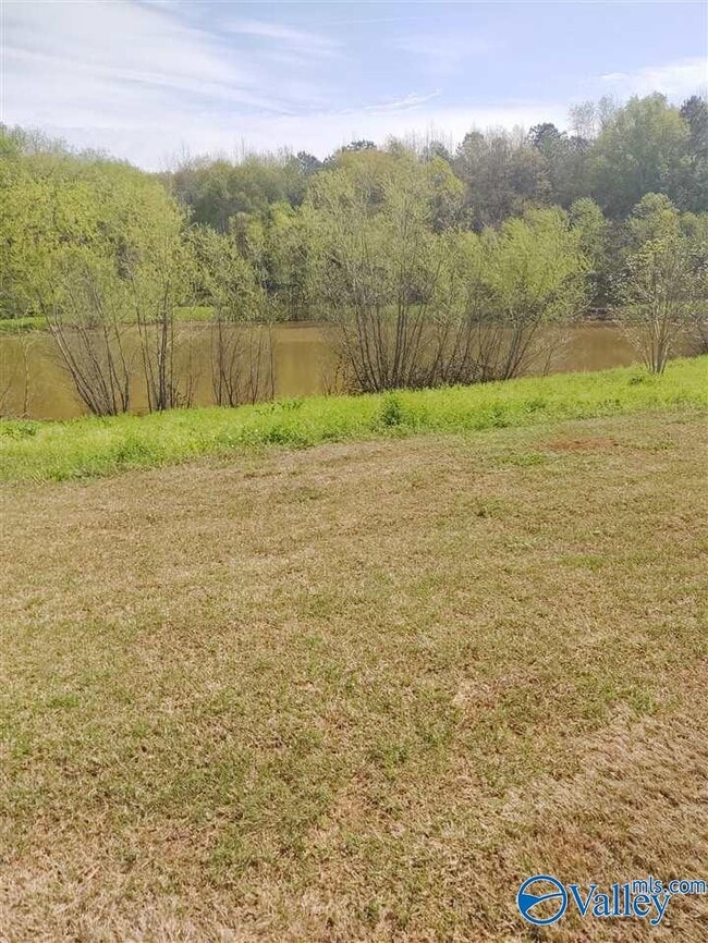 Building Photo - 208 Falling Water Ln SW